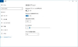 視覚オプションの設定