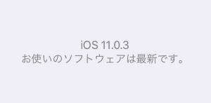 iOS11.0.3 アップデート済み